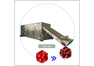 chilli dryer/drying machine